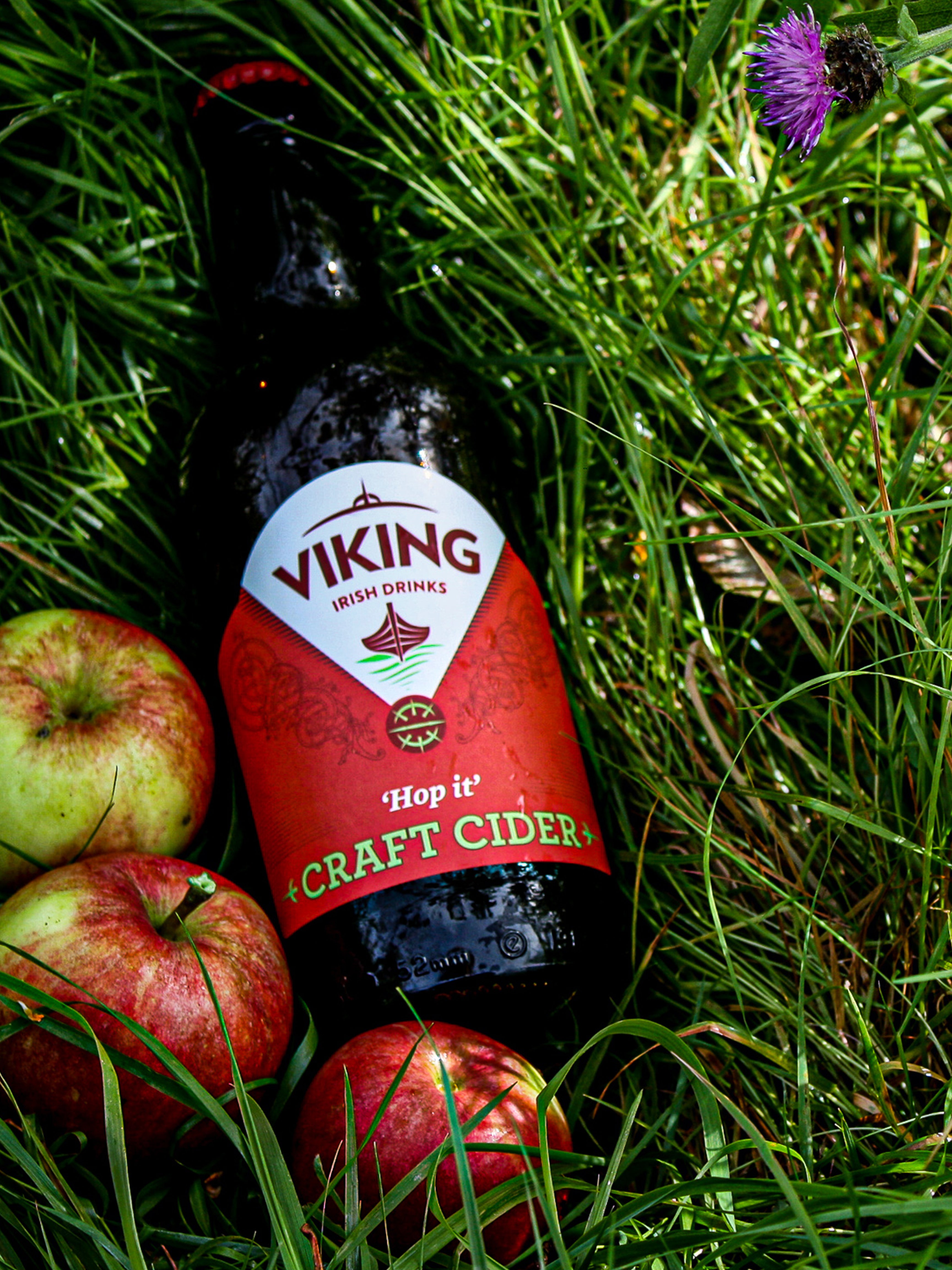 Viking Irish Cider - Mixed Case (6 Bottles)