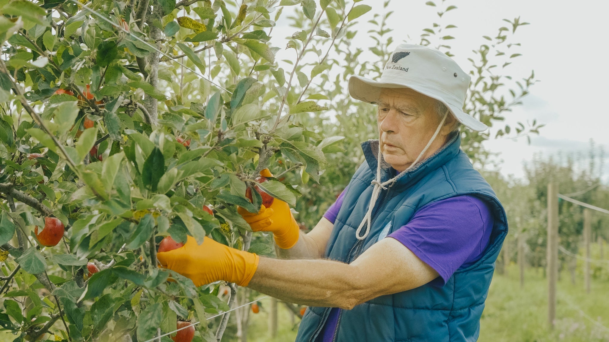 Irish Independent Feature | Making Wine