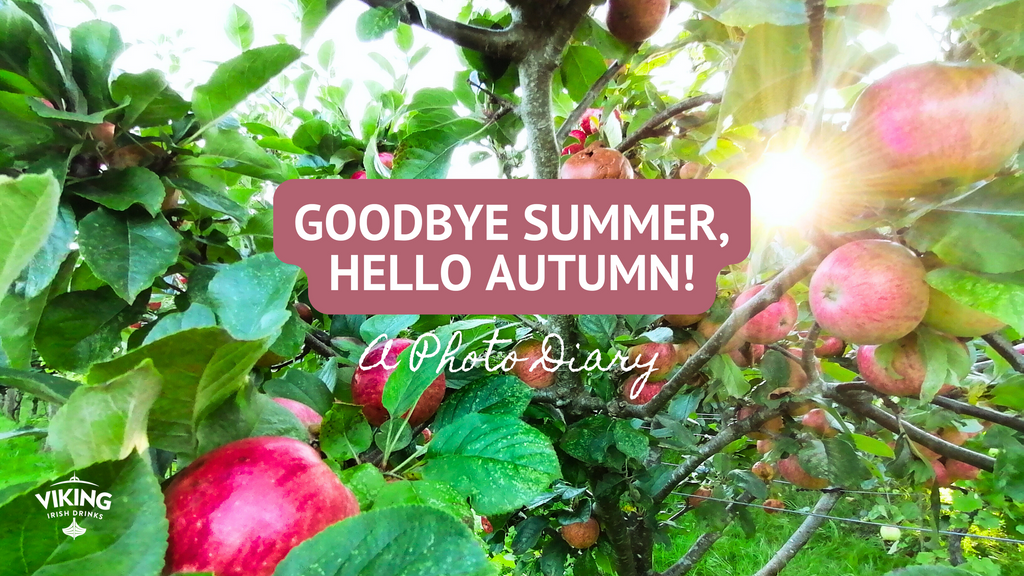 Goodbye Summer, Hello Autumn: A Photo Diary.