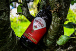 Load image into Gallery viewer, Viking Irish Hop-It Cider (6 Bottles)
